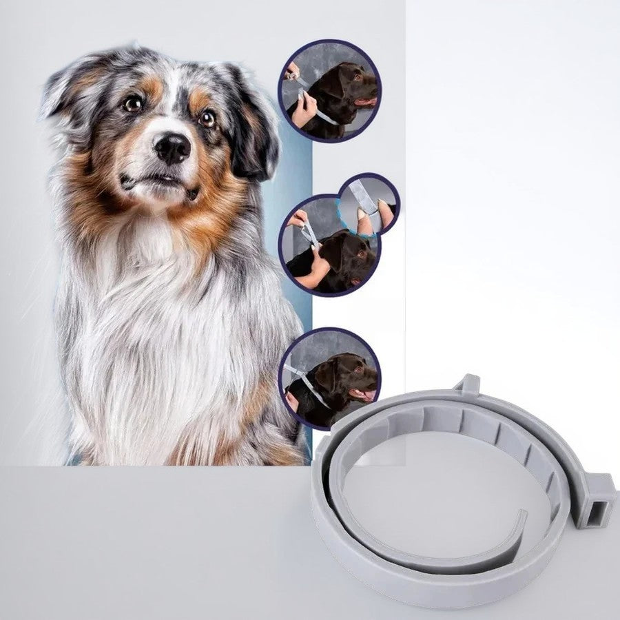 Flea and Tick Repellent Collar with Adjustable Fit and Water-Resistant Design for Dogs and Cats