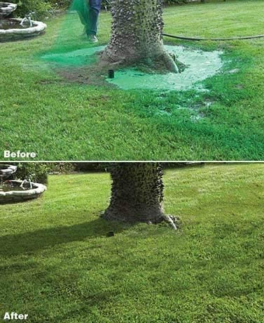 Liquid Grass Seed Spray with Hose Attachment and Fiber Mulch Coating