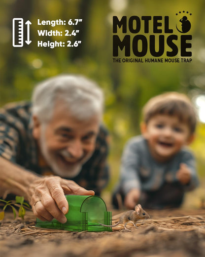 Live Capture Mouse Trap with Pivot Door and Clear Viewing Window, 4-Pack