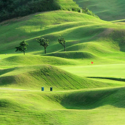 Biodegradable Grass Seed Mat with Embedded Fertilizer and Dual Layer Protection