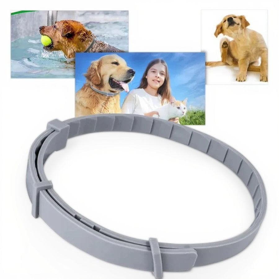 Flea and Tick Repellent Collar with Adjustable Fit and Water-Resistant Design for Dogs and Cats