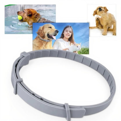 Flea and Tick Repellent Collar with Adjustable Fit and Water-Resistant Design for Dogs and Cats