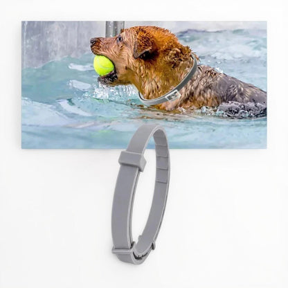 Flea and Tick Repellent Collar with Adjustable Fit and Water-Resistant Design for Dogs and Cats