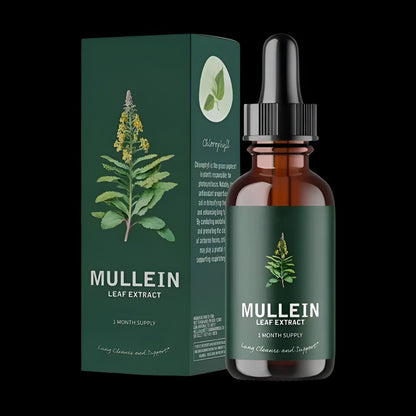 Mullein Leaf Tincture with Chlorophyll and Dropper, Gluten-Free Respiratory Wellness