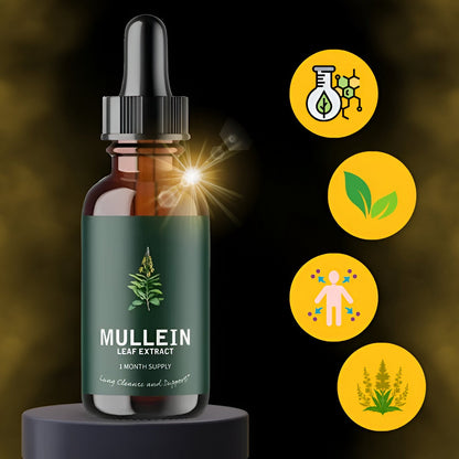 Mullein Leaf Tincture with Chlorophyll and Dropper, Gluten-Free Respiratory Wellness