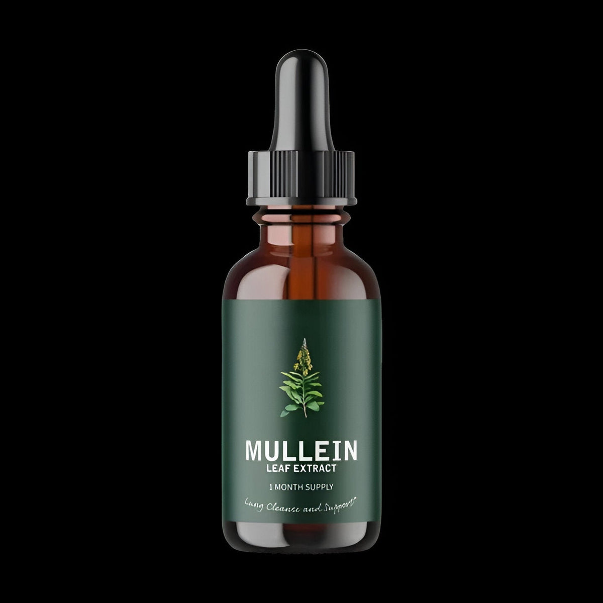 Mullein Leaf Tincture with Chlorophyll and Dropper, Gluten-Free Respiratory Wellness