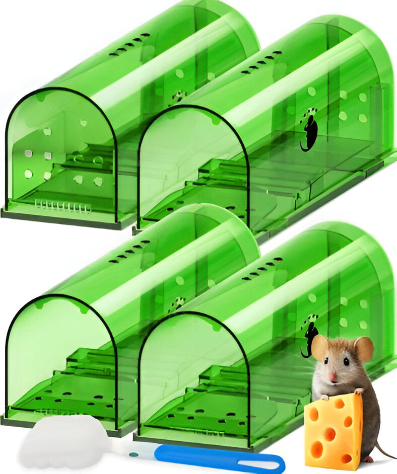 Live Capture Mouse Trap with Pivot Door and Clear Viewing Window, 4-Pack