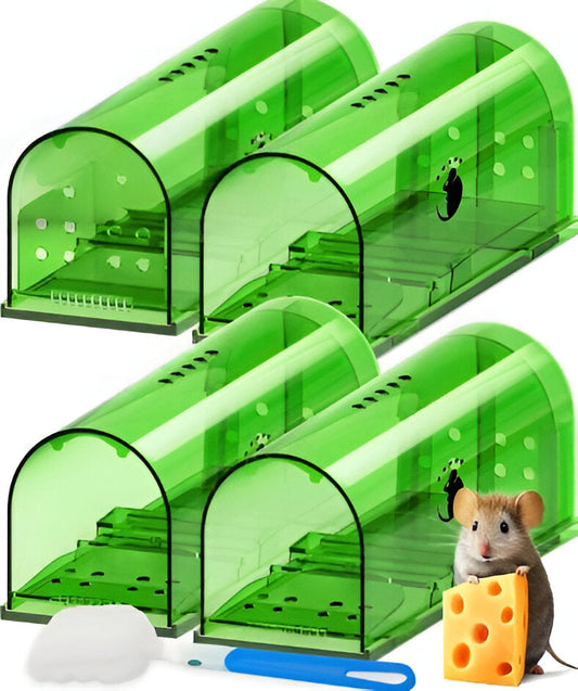 Live Capture Mouse Trap with Pivot Door and Clear Viewing Window, 4-Pack