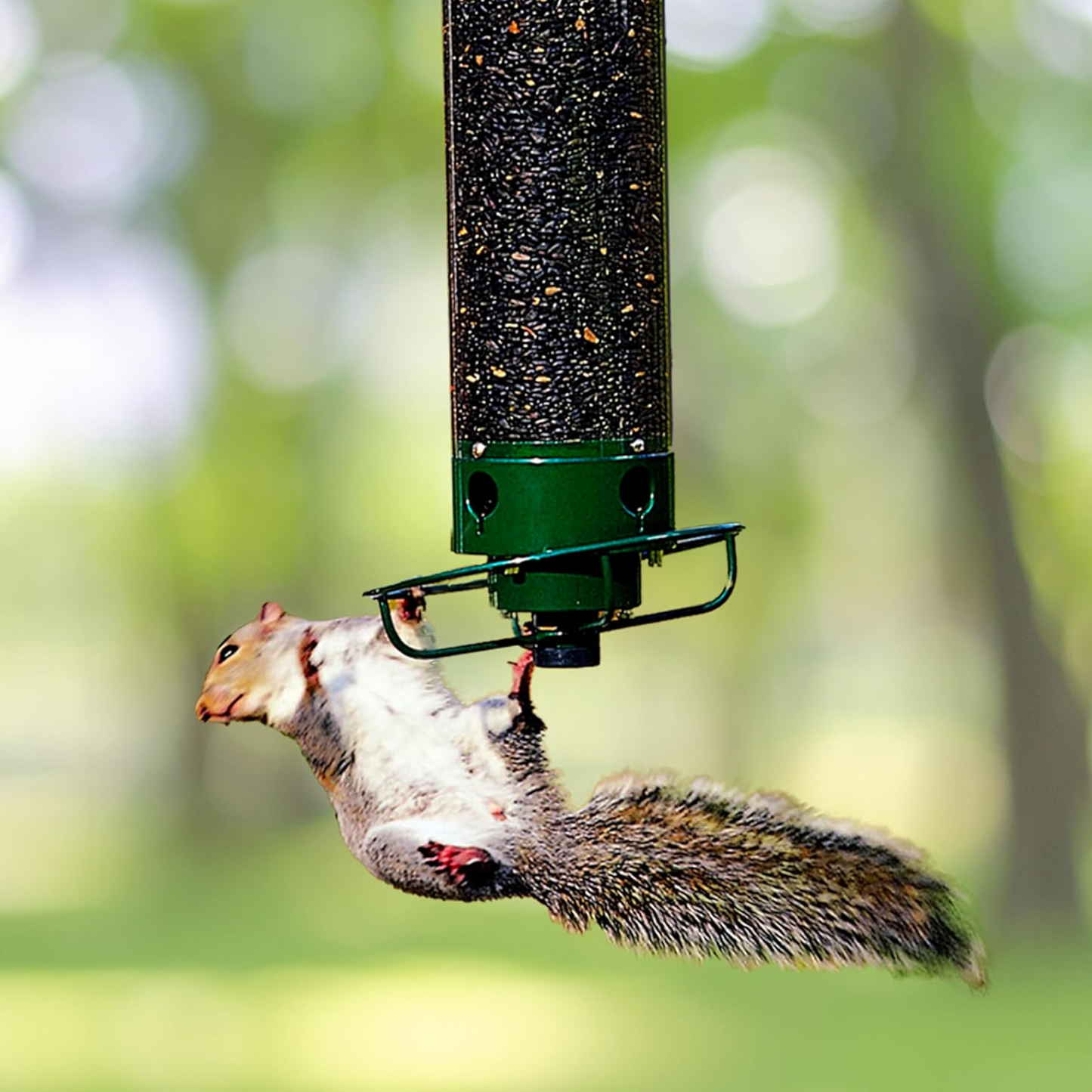 Rotating Perch Bird Feeder with Weight Activated Spin and Four Feeding Ports