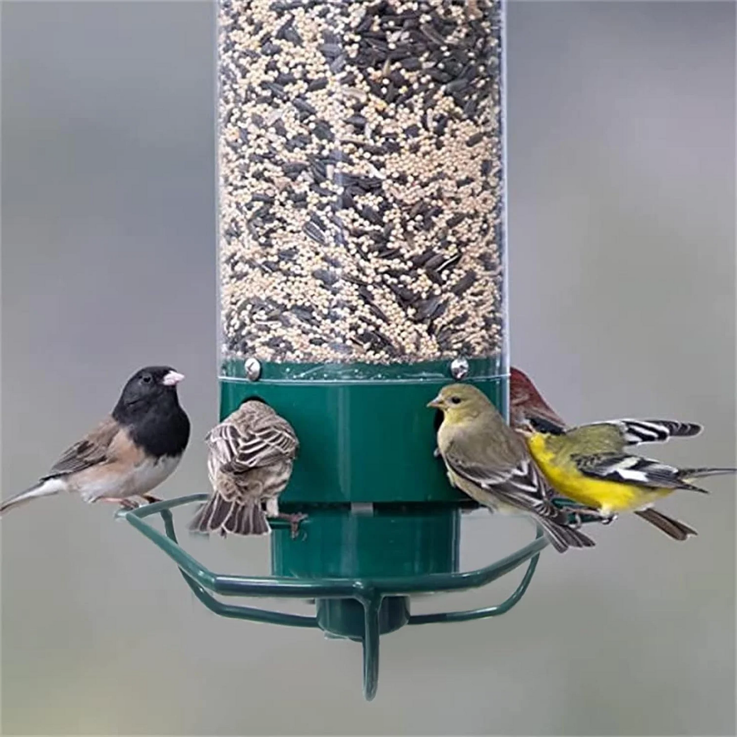 Rotating Perch Bird Feeder with Weight Activated Spin and Four Feeding Ports