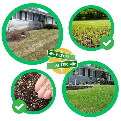 Biodegradable Grass Seed Mat with Embedded Fertilizer and Dual Layer Protection
